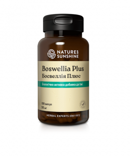 Босвеллия Плюс NSP | Boswellia Plus